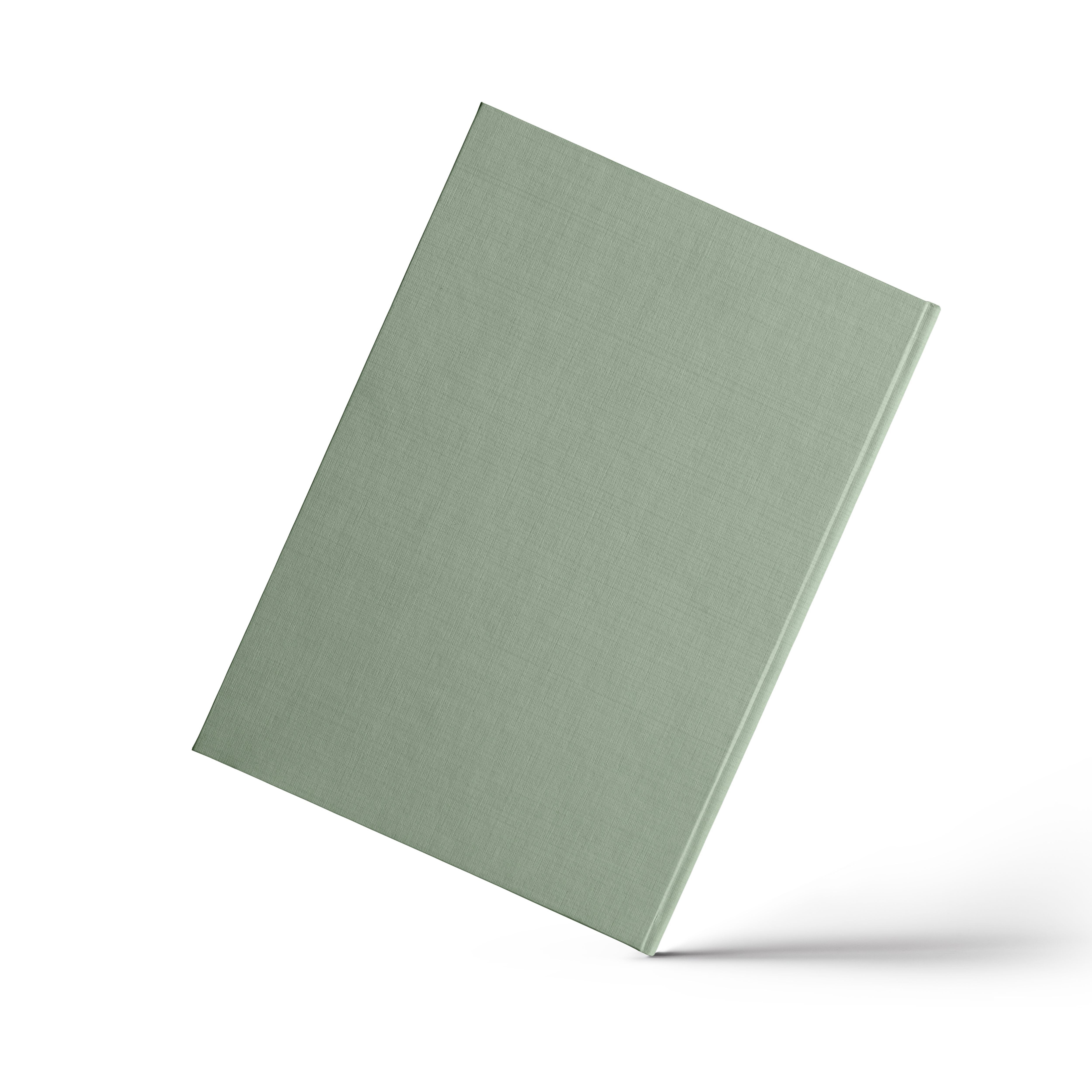 Reality Check "Matcha"